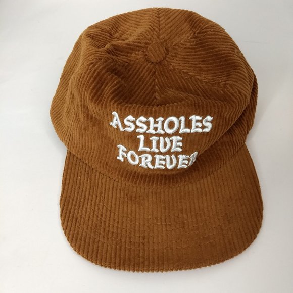 Linda Finegold Other - Linda Finegold ALF Brown Corduroy Dad Hat Cap White Embroidery Snap Back